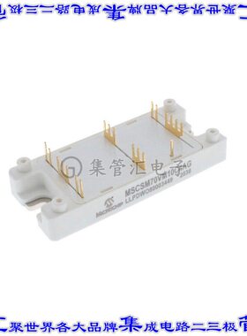 MSCSM70VM10C4AG 晶体管 MOSFET 2N-CH 700V 238A SP4