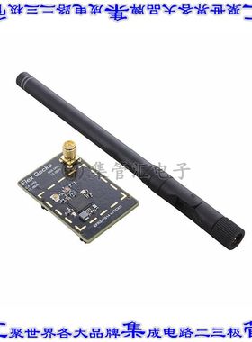 SLWRB4262B 开发板评估板 868MHZ, EFR32FG14, 19DBM, LONG R