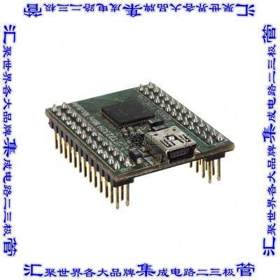 FT2232H MINI MODULE 开发板评估板 MOD USB HS FT2232H EVAL