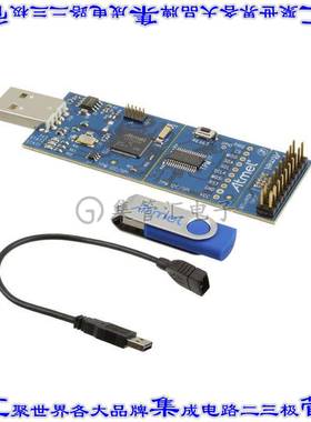 AT97SC3205P-SDK2 开发板评估板 DEMO KIT FOR 97SC3204