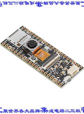 5946 开发板评估板 A PICOWBELL CAMERA BREAKO