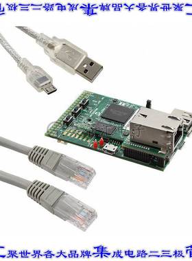 DM320008-C 开发板评估板 PIC32MZ GRAPHICS EVAL BRD