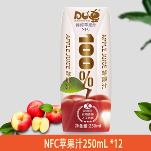 静宁苹果汁 鲜榨果汁  250ml*12瓶礼盒实惠装