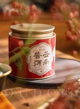 特别干净的普洱熟茶散茶木质香