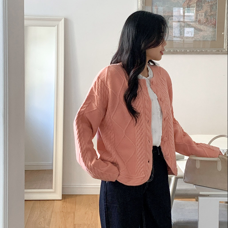 韩国代购大码女装2026靓丽冬装新款圆领系扣淑女麻花针织毛衣开衫