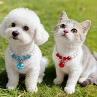 宠物珍珠项链小狗猫咪专用项圈狗狗脖子佩戴饰品小猫小型犬毛孩子