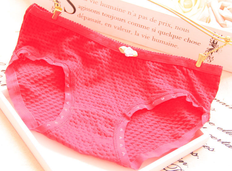 Slip jeunesse en coton - Ref 646227 Image 3