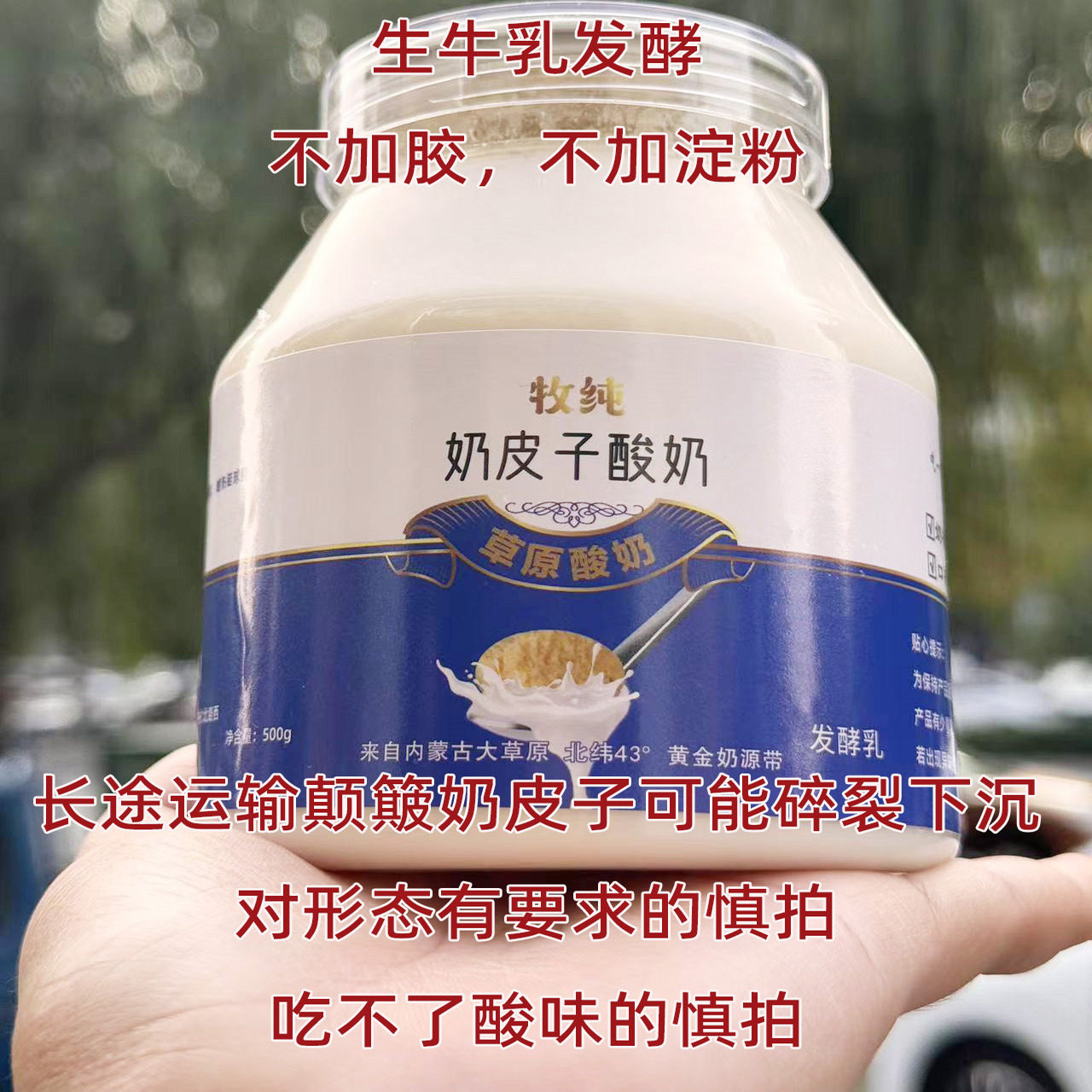 内蒙古牧纯0蔗糖奶皮子罐装