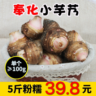 正宗奉化特产芋艿头小芋头5斤 溪口新鲜农家非荔浦蔬菜二级芋艿子
