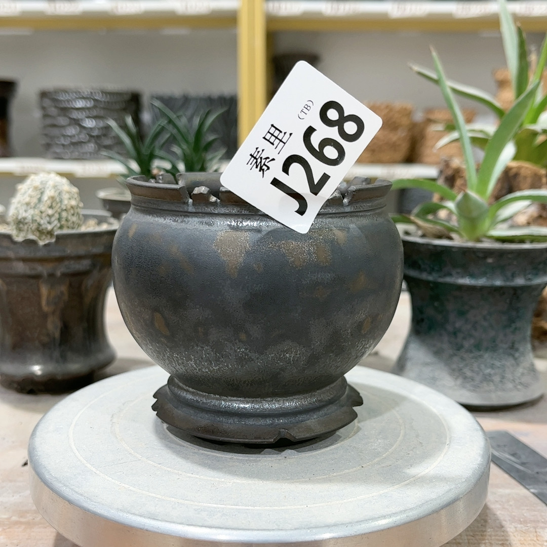 口8高9,鲜花速递/花卉仿真/绿植园艺,花盆,淘宝优惠券,粉丝福利购,淘宝优惠卷