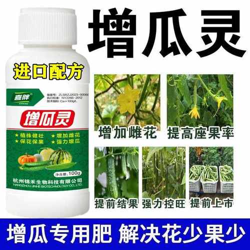 雄花变雌提高座果率增瓜灵