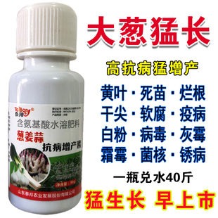 大葱猛长大葱专用肥防根腐软腐黑斑灰霉锈病大葱病荃治