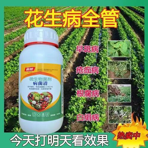 花生杀菌剂花生病全治叶斑病死苗根腐白娟病锈病菌核病花生专用药