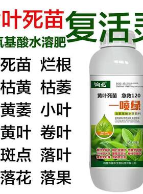 黄叶死苗一喷绿果蔬通用肥氨基酸叶面肥微量元素水溶肥料正品包邮