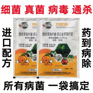 万能杀菌剂真菌细菌病毒病早晚疫病霜霉病白粉病灰霉病稻瘟病锈病