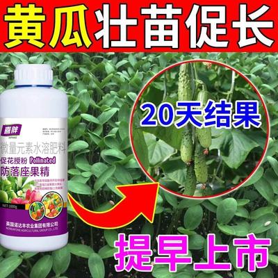 黄瓜坐瓜灵授粉坐果精保花坐果防落果无需沾花点花授粉喷雾叶面肥