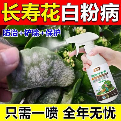 【四季开花】长寿花专用肥催花促花抑菌防虫害白粉病免稀释营养液