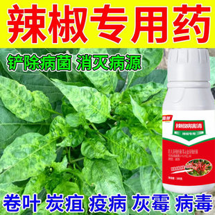 辣椒病毒病专用药卷叶病药黄叶炭疽农药杀菌剂病毒克星辣椒病全治