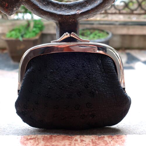 珍稀海外样品真正澳洲鸸鹋皮内外全皮零钱包口金包无法装下银行卡