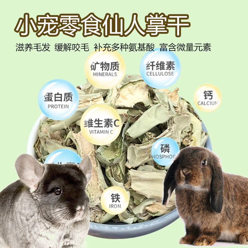 仙人掌干预防治疗龙猫咬毛微量元素清热去火磨牙健康兔兔零食