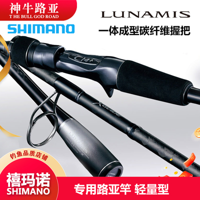 枪柄2节翘嘴远投海鲈路亚竿