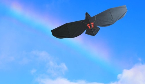 内蒙草原三提线盘旋板鹰重磅升级0.5-5级全风力全天候待飞