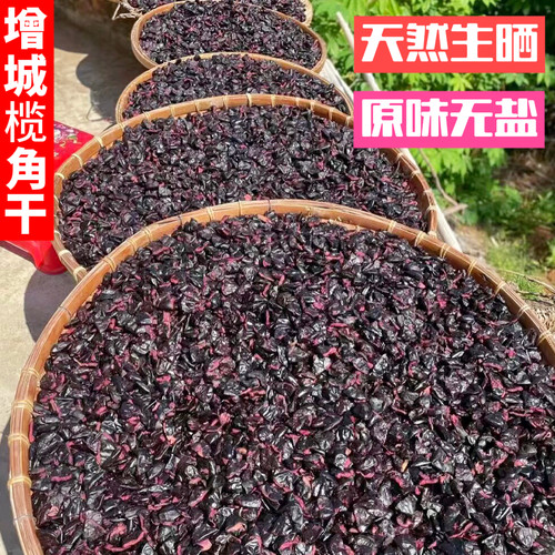 2025增城榄角干西山左尾乌榄