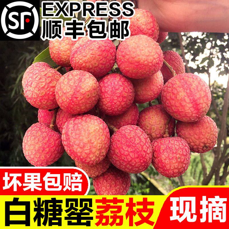 新鲜美味白糖罂荔枝冰冻老树水果顺丰整箱当季现摘