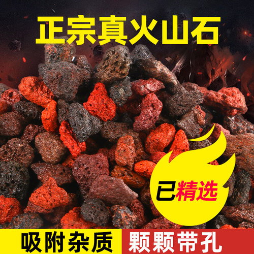 致品火山石乌龟鱼缸造景底部砂石