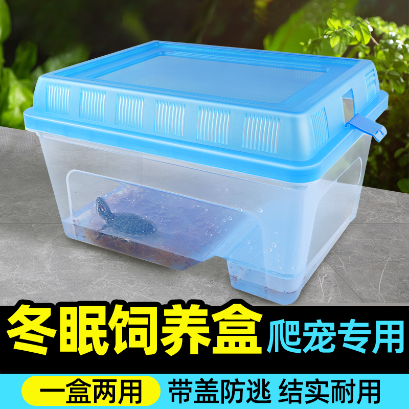 爬宠冬眠饲养盒带盖一盒两用