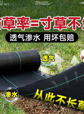 隔草布蔬菜专用防草布透气不积水除草布农用黑色防杂草地布新型生