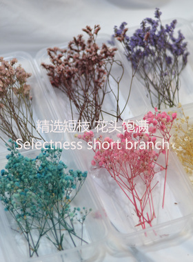 满天星水晶草干花包永生花短枝条
