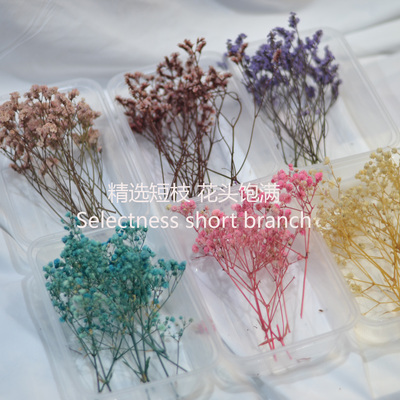 满天星水晶草干花包永生花短枝条