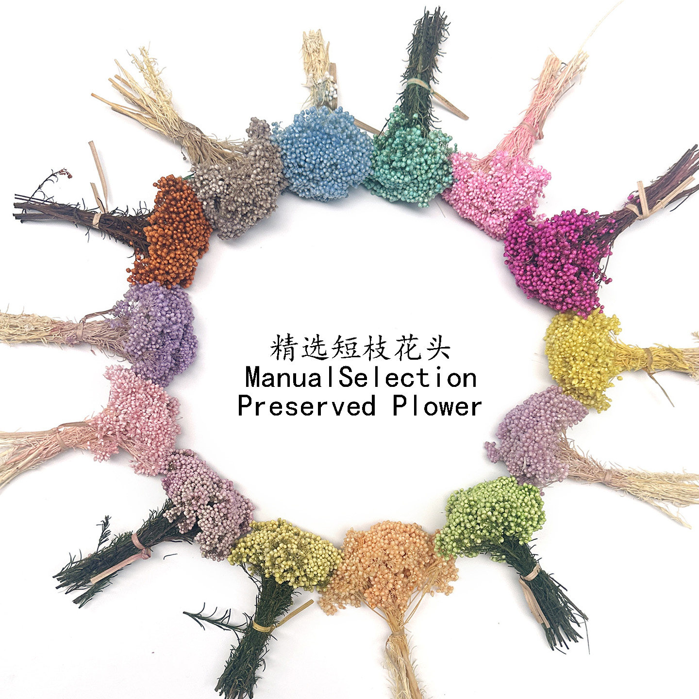 精选小巴掌米花干花包浅色永生小花束手工DIY花材短枝花头材料包