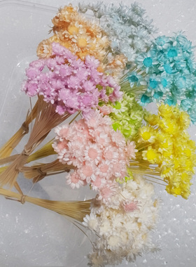 浅色系小星花干花包大花头戒指花