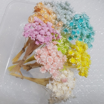 浅色系小星花干花包大花头小雏菊