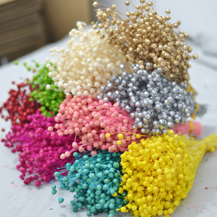 短枝相思豆花头干花包富贵豆永生花混搭束手工玻璃罩立体花材料包