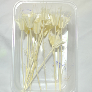 粉白色八角花干花包短枝花头永生花手工材料包玻璃罩花盒相筐搭配