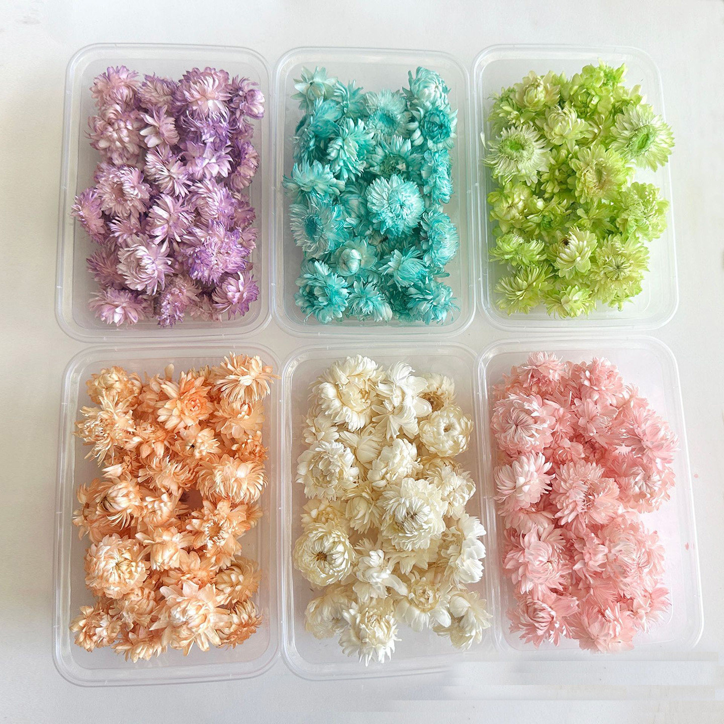 漂白小雏菊麦杆菊干花包花头白色粉紫色绿色手工DIY材料小号菊花