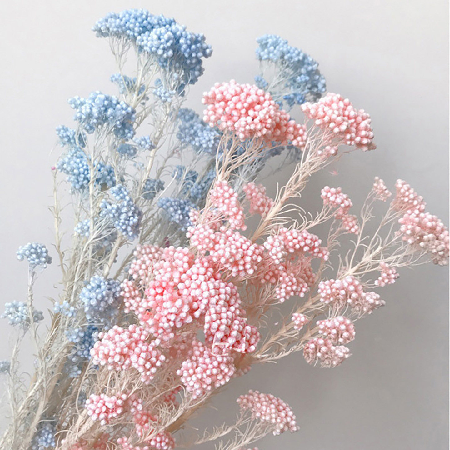 天然小米花干花包米草永生花混搭花束家居客厅装饰手工相筐画材料