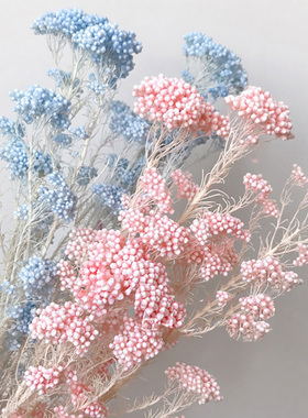 米花干包永生花束手工浮油花材料