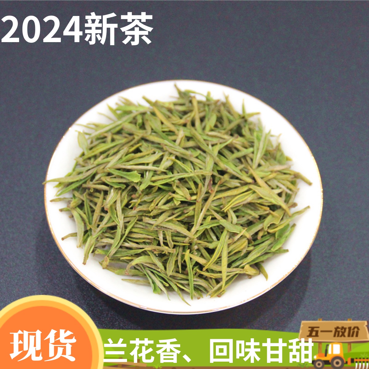 安吉白茶2023明前特级开园头采