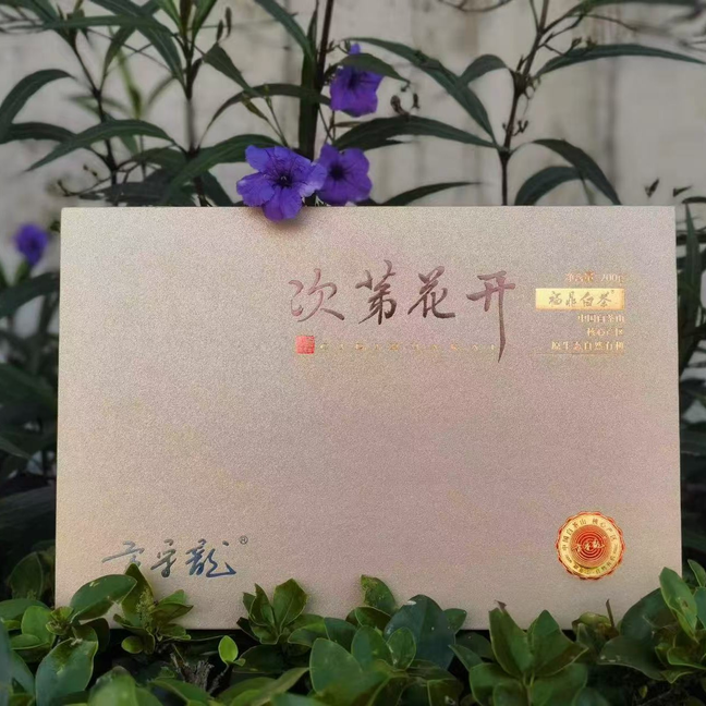 2024 方守龙  次第花开 200g 一级春有机牡丹茶砖 福鼎白茶