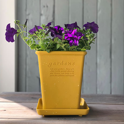 花盆HachimanGardens日本进口