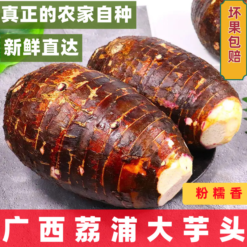 广西荔浦新鲜大芋头9斤正宗香糯农家现挖直发中大果芋艿紫藤毛芋5