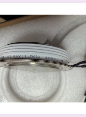 拍前询价99新TECHSEM,Y8z0KPE0T22F01637,温度议价