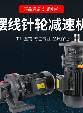摆线针轮减速机立式卧式一体电机减速器常州纯铜BWD直连三相