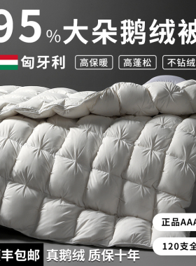 匈牙利正品羽绒被子白鹅绒五星级酒店春秋被加厚保暖被芯被子冬被