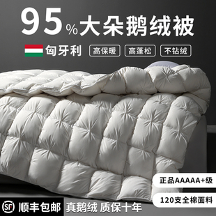 匈牙利正品 羽绒被95白鹅绒五星级酒店春秋被加厚保暖被芯被子冬被