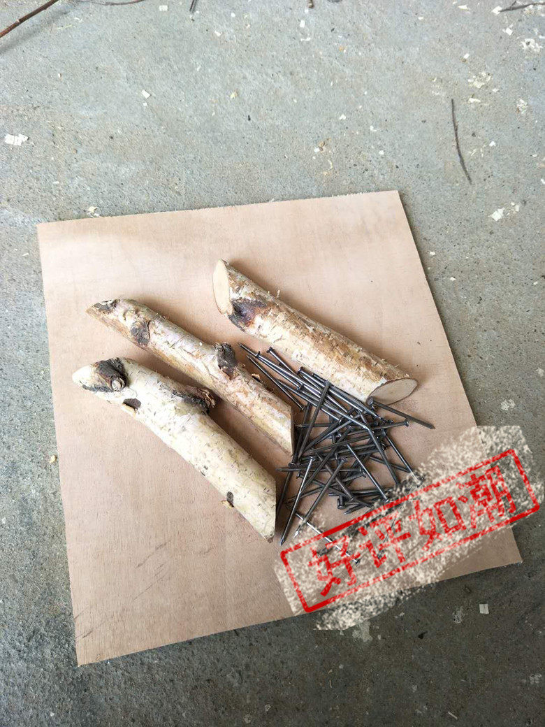 木板底板底座底座木板白桦树固定底座底板装饰树固定底座底板装饰,家居饰品,干花/花瓣/干花包/干树枝,淘宝优惠券,粉丝福利购,淘宝优惠卷